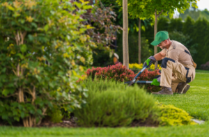 Landscaping Bussiness